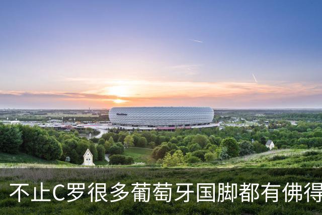 不止C罗很多葡萄牙国脚都有佛得角血统 还有中国归化球员德尔加多